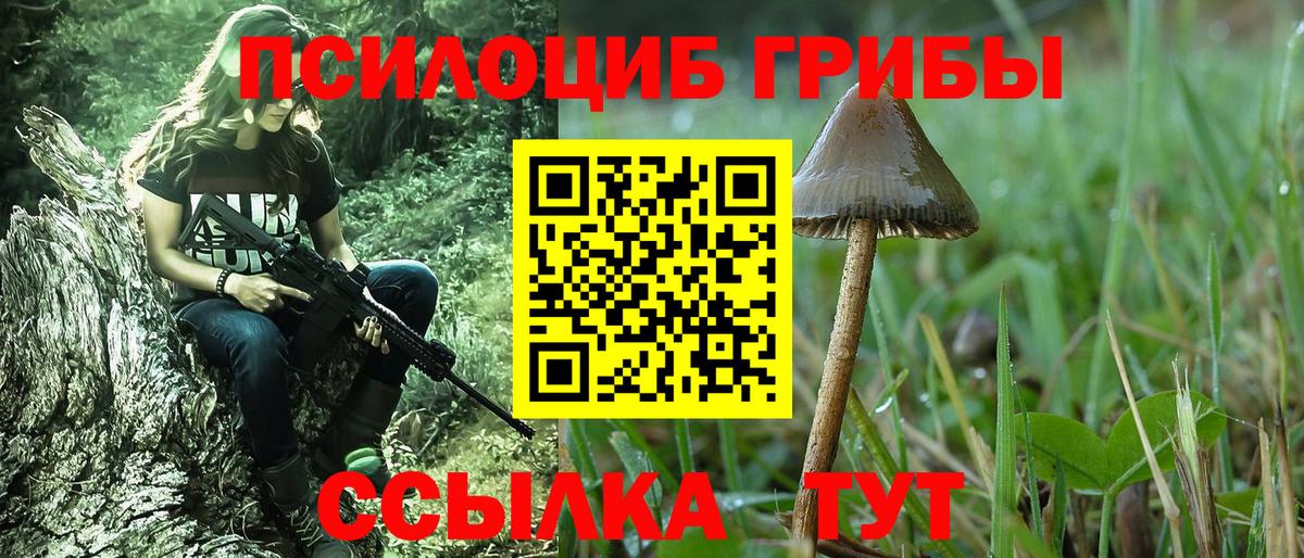 Аша  Галлюциногенные грибы мухоморы  Вход с VPN  Галлюциногенные грибы мухоморы 