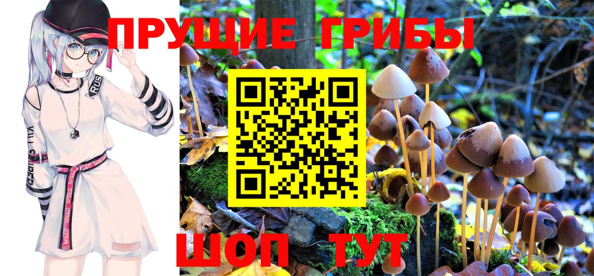 Галлюциногенные грибы Psilocybine cubensis Аша